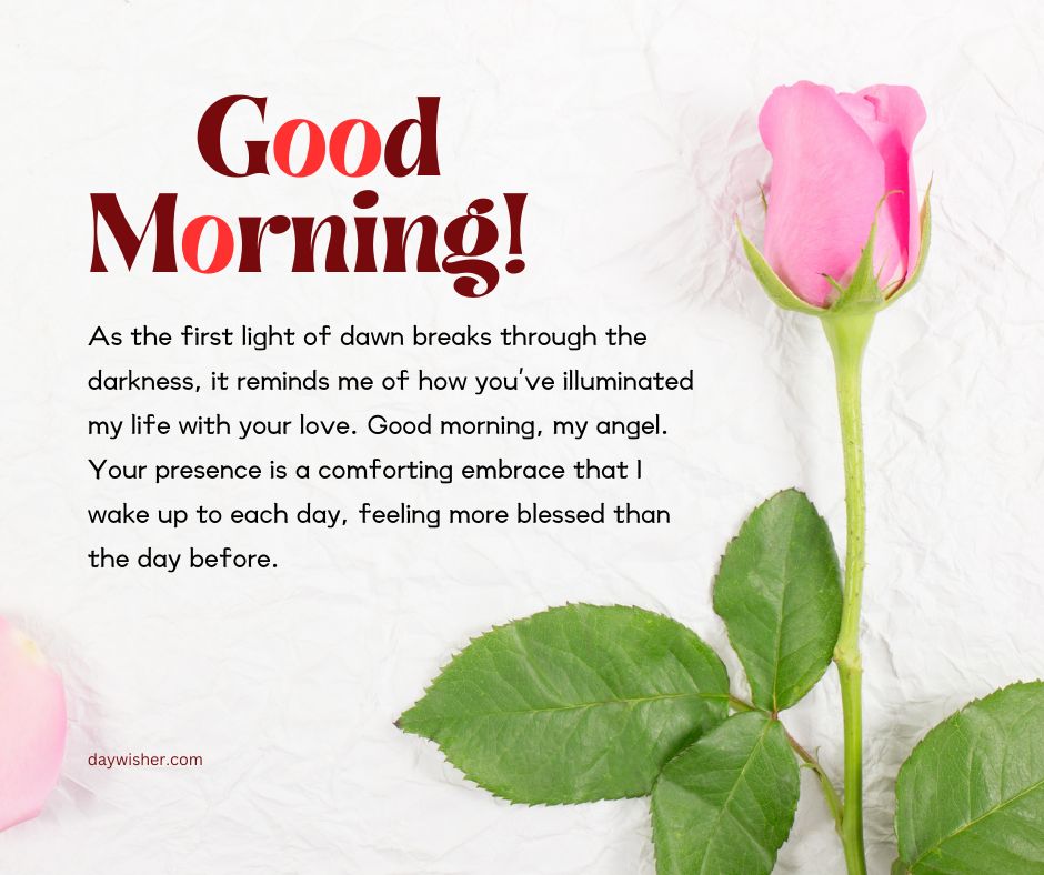 A bright image with text saying "Good Morning Paragraphs For Her" next to a pink rose with green leaves on a textured white background, expressing a loving and inspirational message.