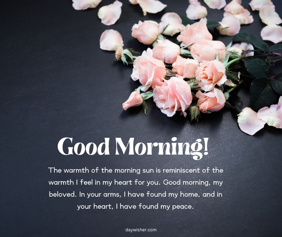 A collection of delicate peach roses scattered on a dark background with the text "Good Morning Paragraphs For Her! The warmth of the morning sun is reminiscent of the warmth I feel in my heart for you