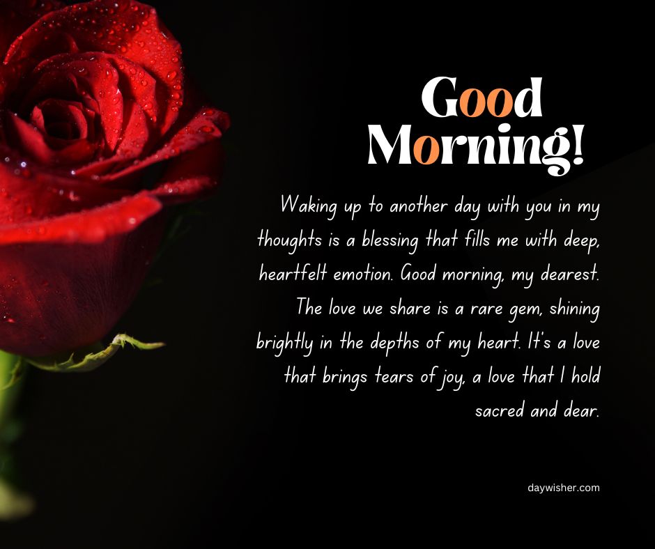 A close-up of a dew-covered red rose on a dark background with the text "Good Morning Paragraphs For Her" in white, followed by a heartfelt morning greeting and expressions of love and value.