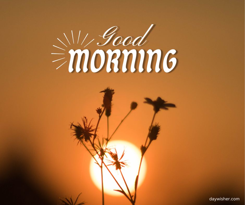 Silhouetted plants against a warm sunrise, with a good morning greeting that lights up the new day.