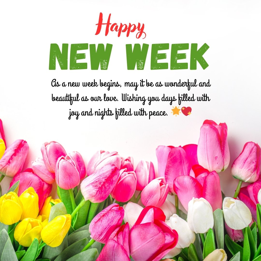 Happy New Week Wishes to My Love featuring vibrant pink, white, and yellow tulips with a heartfelt message, symbolizing love and a beautiful week ahead.