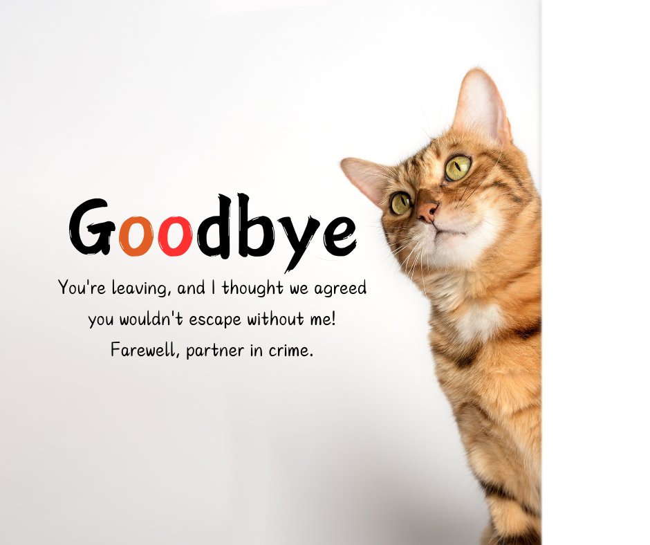 Funny goodbye sayings for coworkers featuring a curious cat peeking around a corner. The message reads: 'Goodbye. You're leaving, and I thought we agreed you wouldn't escape without me! Farewell, partner in crime.'