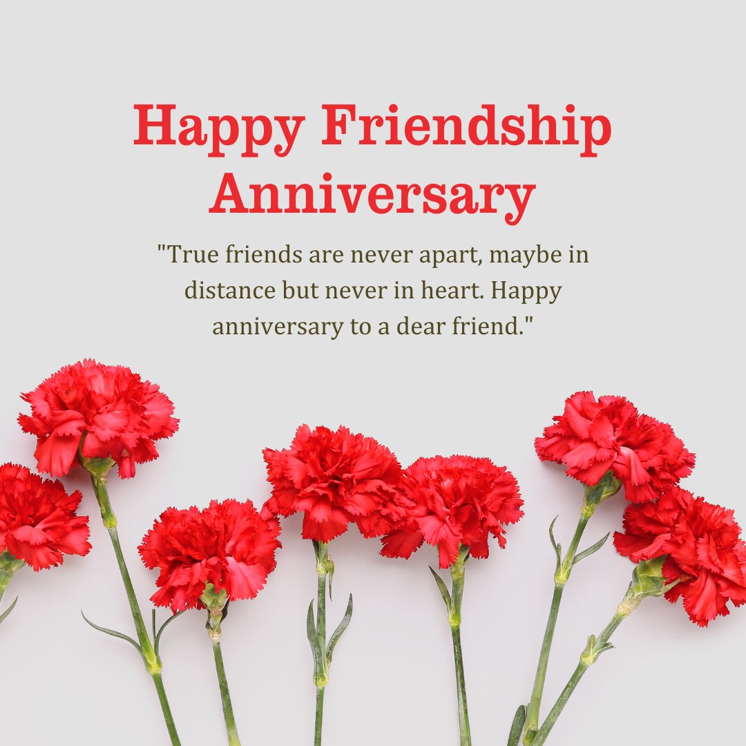 Vivid red carnations arranged in a line on a white background with the heartfelt message 'True friends are never apart, maybe in distance but never in heart. Happy anniversary to a dear friend.' for a friendship anniversary.