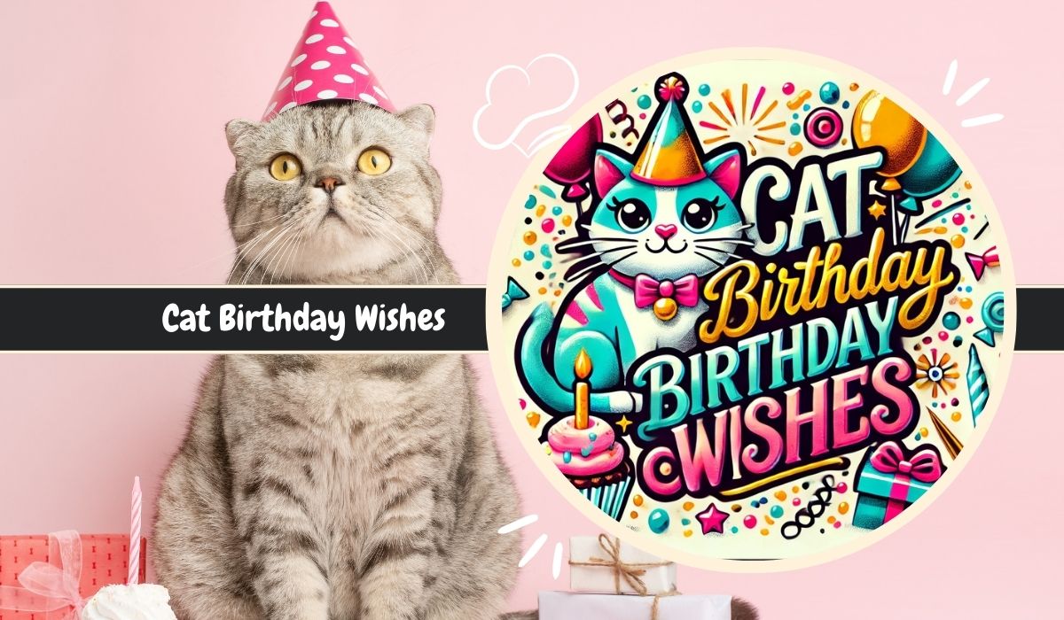 Cat Birthday Wishes