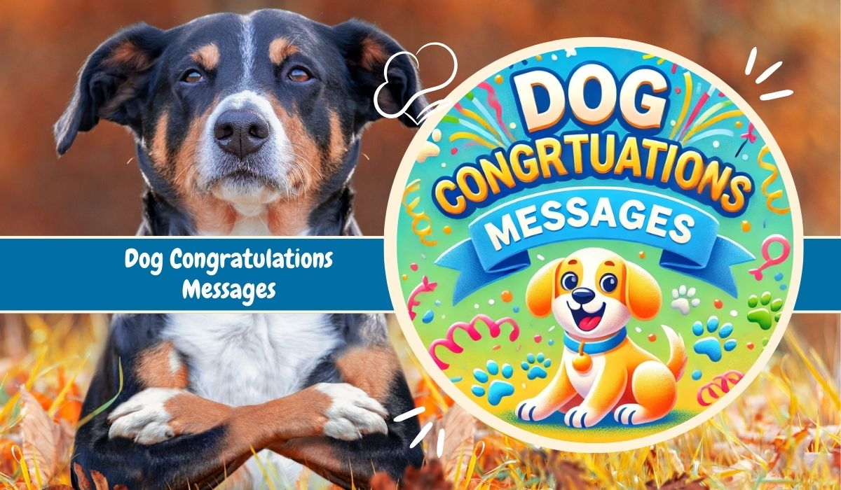 150+ Dog Congratulations Messages To Celebrate Your Pup