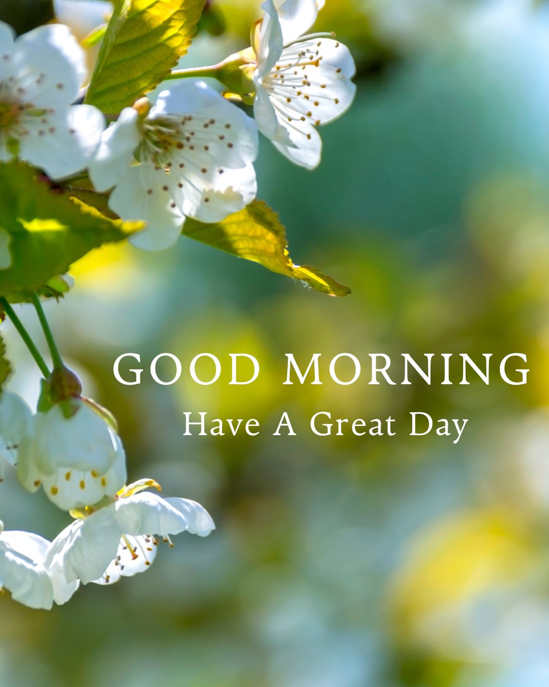 good morning images new